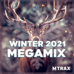 CD WINTER 2021 MEGAMIX - SINGLE CD